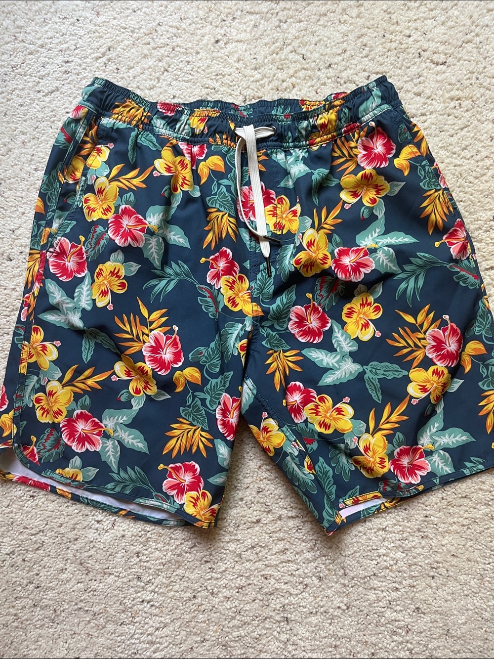 Fair Harbor Olive Green Swim Shorts with Dark Green Waistband